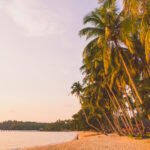 goa tour package from chennai